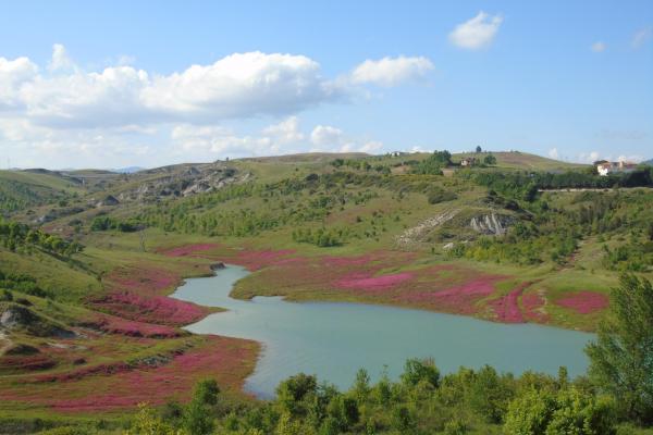 Diga Senise