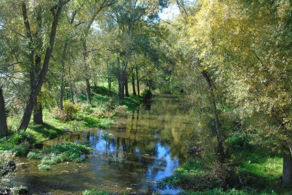 Basento