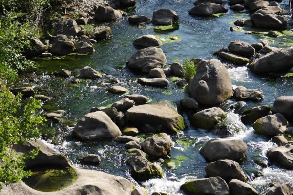 Fiume