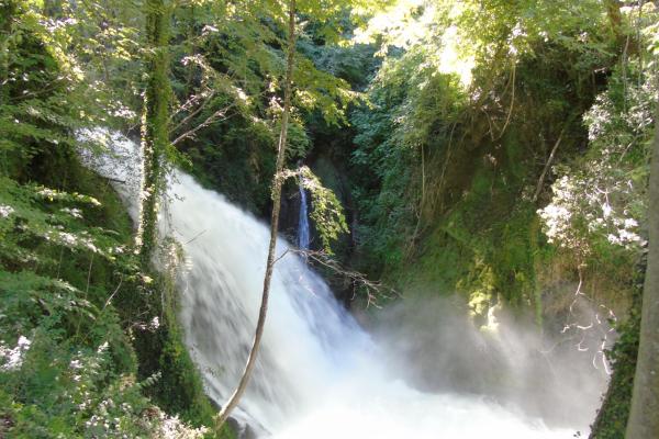 Cascate