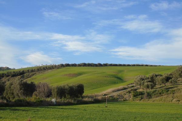 Aliano (MT)
