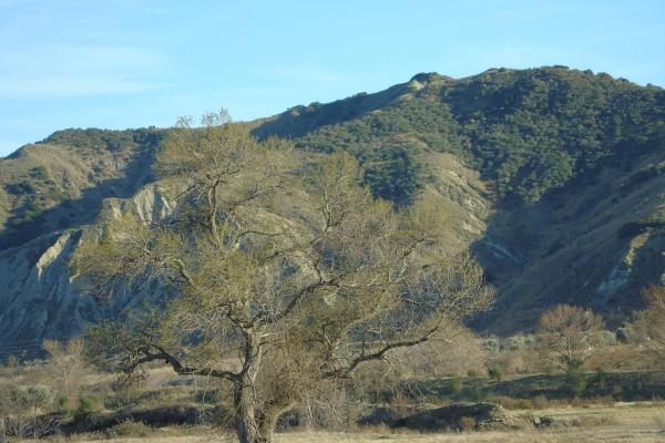 Aliano (MT)