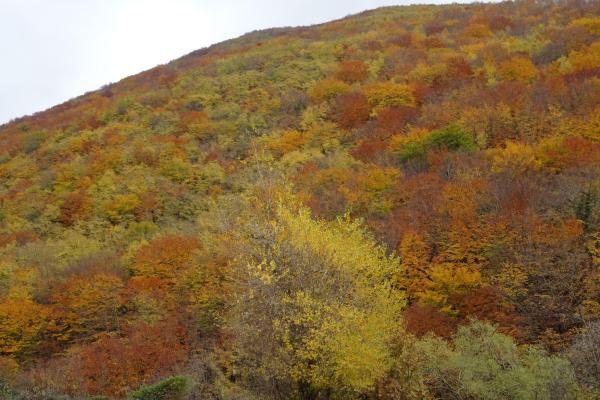 Autunno